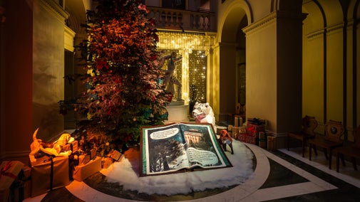 a photo of shadow the snow leopard behind a large story book. to the left is a christmas tree and behind is a fairy lights curtain